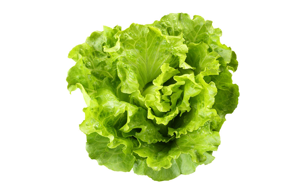 Simply Fresh Romaine    Box  1 pcs